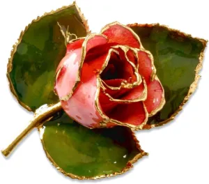 24k Lacquered finish Gold Trim Pink Rose Brooch Pin 72x51mm Wide Brooches and-Pin for Women