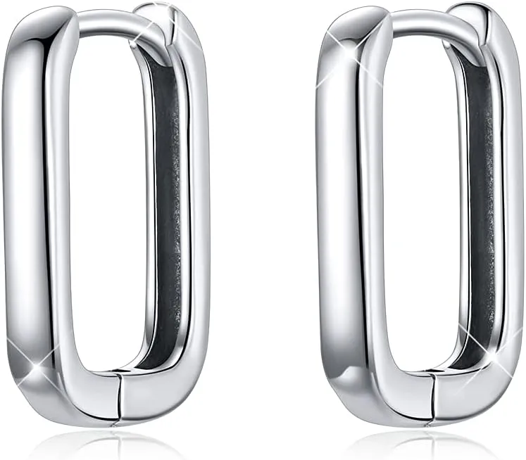 BISAER 925 Sterling Silver Cute Hoop Earrings for Women Hypoallergenic Small Sleeper Tragus Hoop Earrings Cartilage Jewelry Gifts