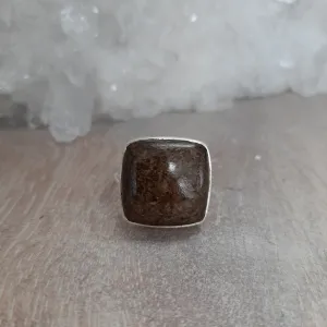 Bronzite Square Ring