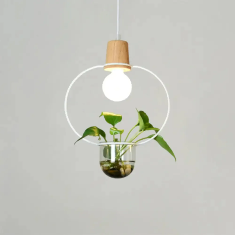 Contemporary Clear Glass Planter Lamp - 1-Light Pendant for Study Room Lighting