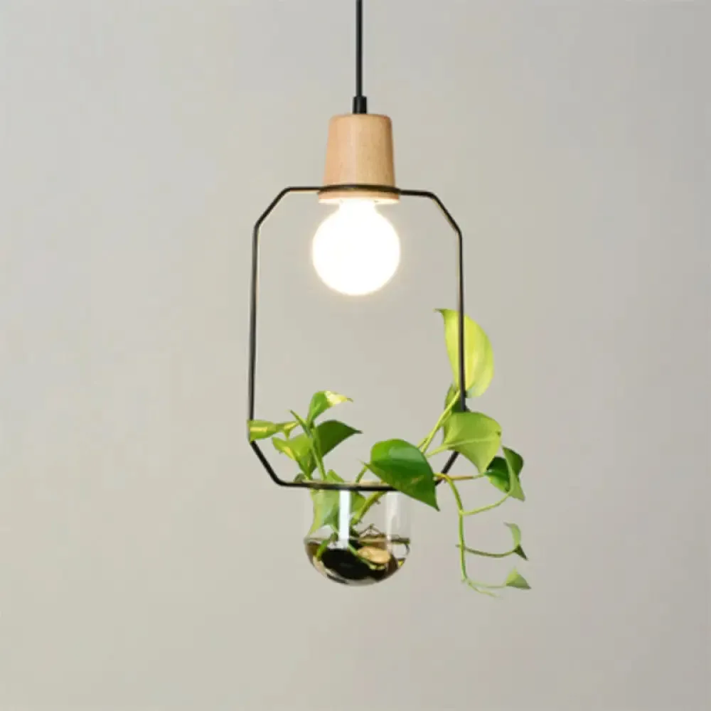 Contemporary Clear Glass Planter Lamp - 1-Light Pendant for Study Room Lighting