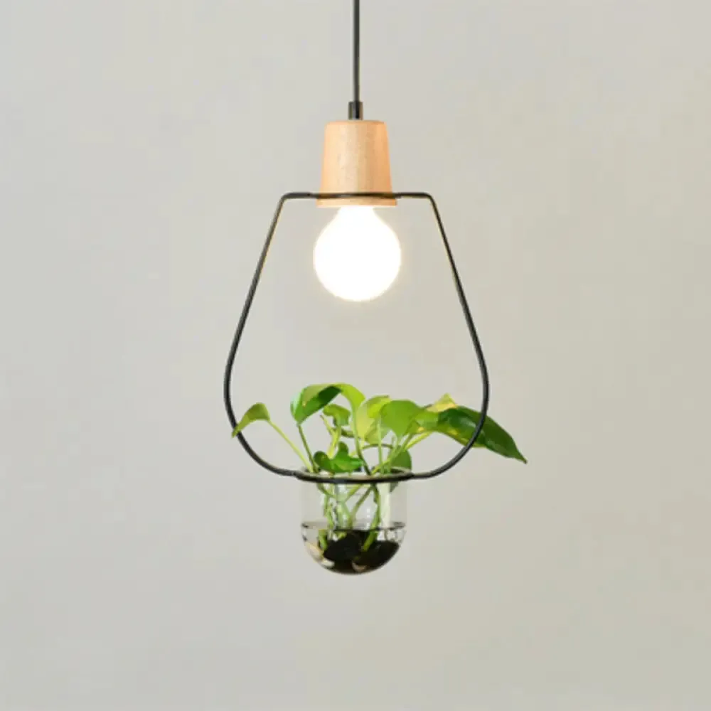 Contemporary Clear Glass Planter Lamp - 1-Light Pendant for Study Room Lighting
