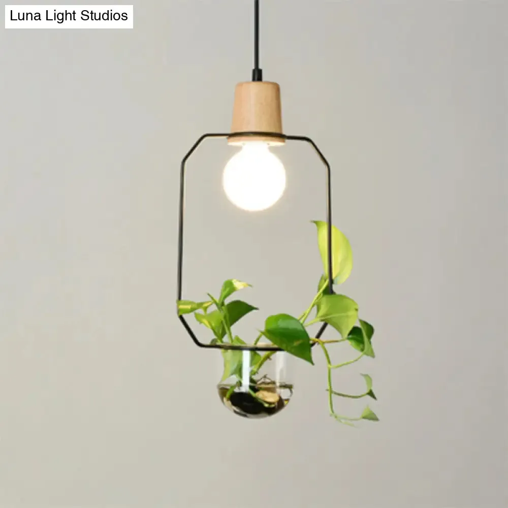 Contemporary Clear Glass Planter Lamp - 1-Light Pendant for Study Room Lighting