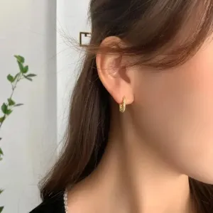 Exquisite Hoop Earrings Large Stainless Steel Jewelry