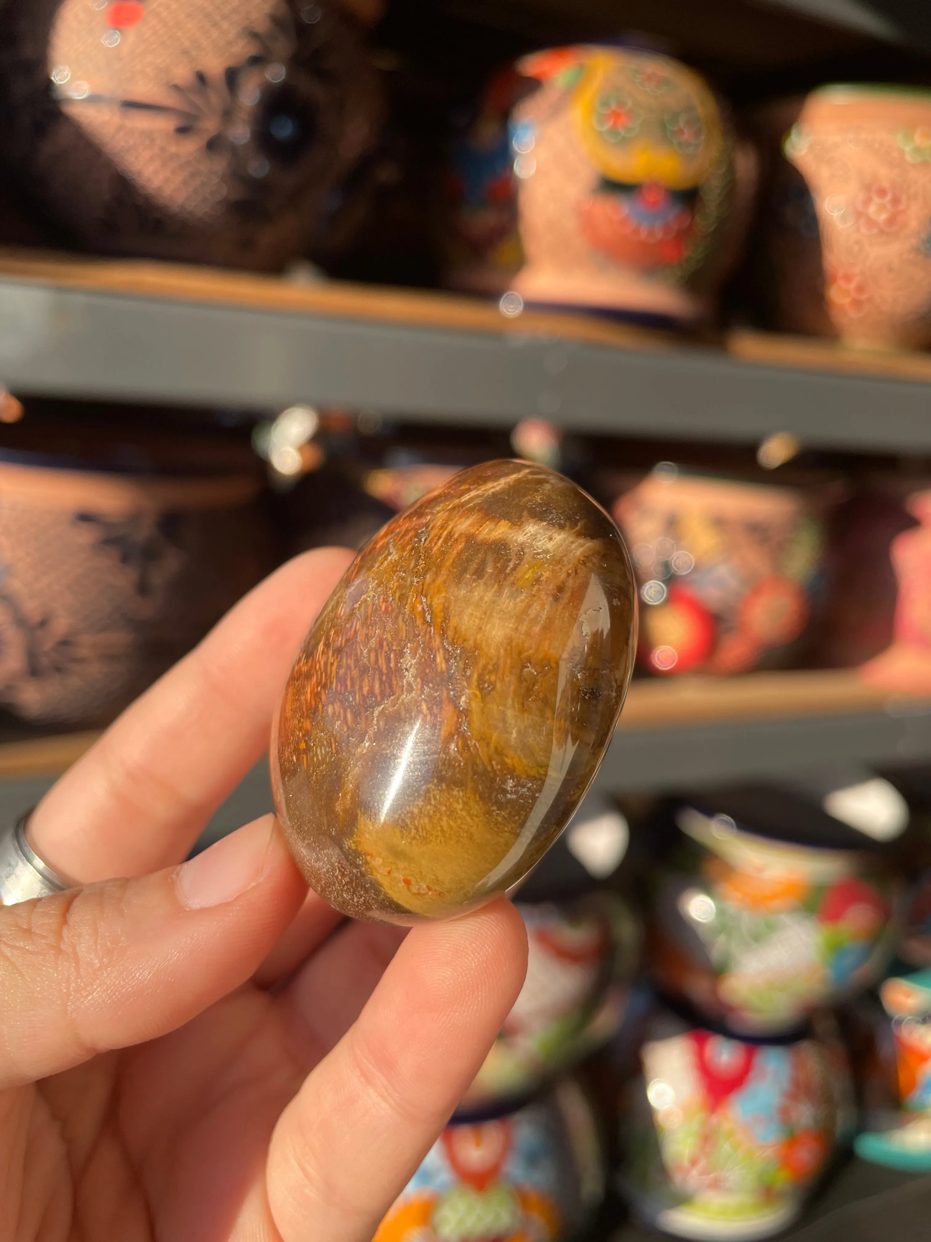 Polished Petrified Wood