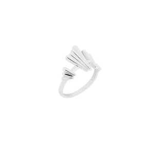 Shard Ring